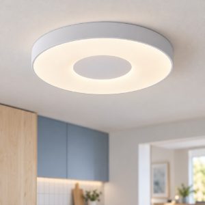 Plafoniera led 56w cct 2700k 5000k 38cm dimmerabile con controllo smart bianca