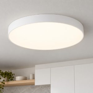 Eglo gallizzi z plafoniera led 36.5w rgb 2700k 6500k 69cm dimmerabile bianca