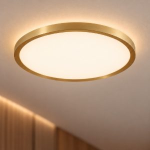 Plafoniera per cabina armadio moderna rotonda oro led 35w cct 2700k 3000k 40cm dimmerabile