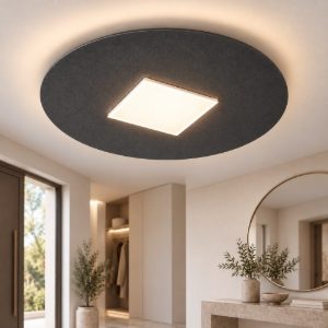 Plafoniera moderna tonda antracite per ingresso led 16w cct 3000k 4000k 28cm