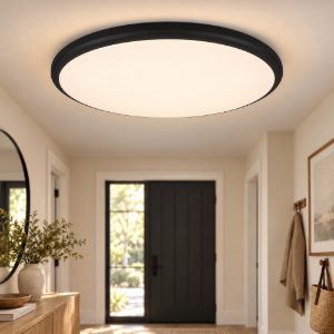 Plafoniera moderna per ingresso led 3000k dimmerabile rotonda nero