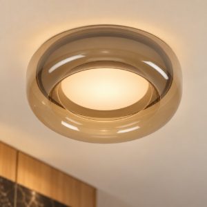 Eglo conistarino plafoniera led 12w cct 2700k 6500k 30cm moderna bianca e marrone doppio bordo