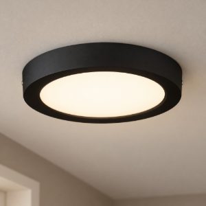 Eglo idun e plafoniera led 18w 4000k 22,5cm moderna rotonda nera