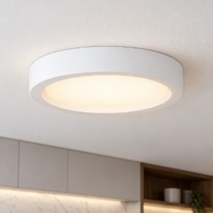 Eglo idun e plafoniera led 14w 4000k 21cm moderna rotonda bianca