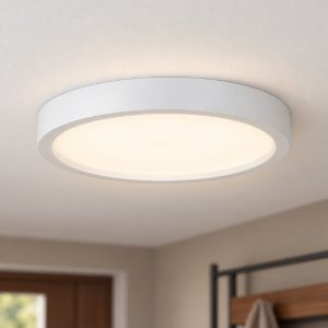 Eglo idun e plafoniera led 17w 4000k 28,5cm moderna rotonda bianca