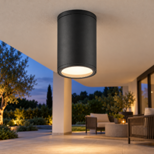 Faretto da esterno soffitto ip54 e27 16cm moderno grigio scuro vetro
