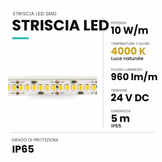 Ideal lux striscia led 24v smd 240 led/m 10w/m 4000k ip65 5m
