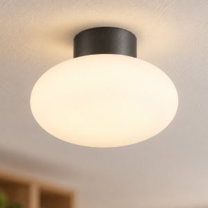 Ideal lux clio mpl1 plafoniera e27 moderna antracite ip44