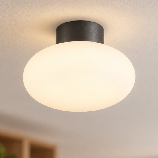 Ideal lux clio mpl1 plafoniera e27 moderna antracite ip44
