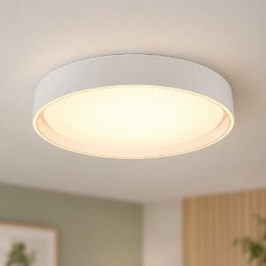 Plafoniera led 24w cct 2700k 6500k con telecomando moderna rotonda bianca