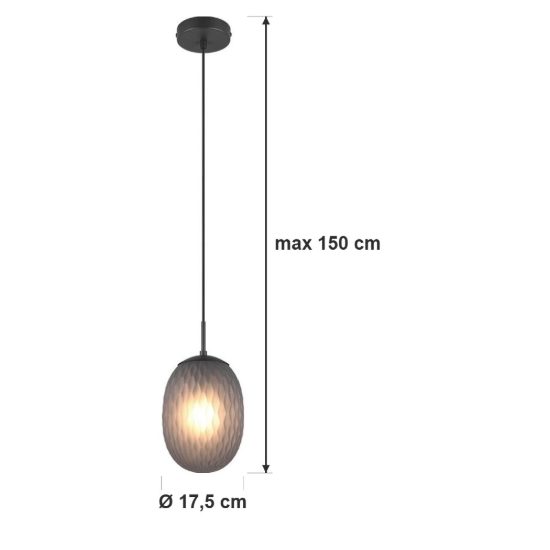Lampada a sospensione per sala da pranzo moderna nera con vetro lavorato fume