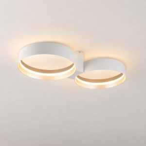 Plafoniera led 36w cct 2700k 6000k con telecomando per soggiorno moderna bianca a doppio cerchio