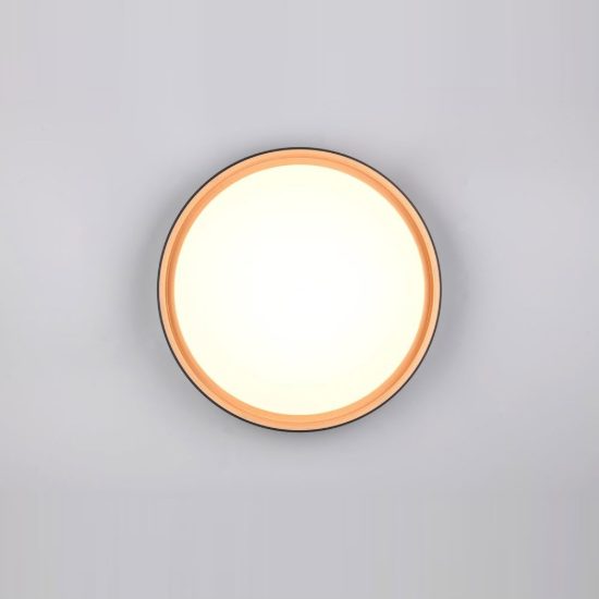 Plafoniera led 24w cct 2700k 6500k con telecomando moderna rotonda nera oro