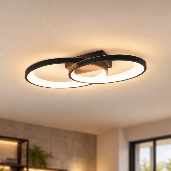 Plafoniera led 25w 3000k per soggiorno moderna a doppia ellisse nera bianca