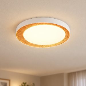 Plafoniera led 24w cct 2700k 6500k con telecomando rotonda bianca con decoro oro
