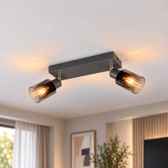 Plafoniera con 2 faretti orientabili moderna antracite con vetri fume
