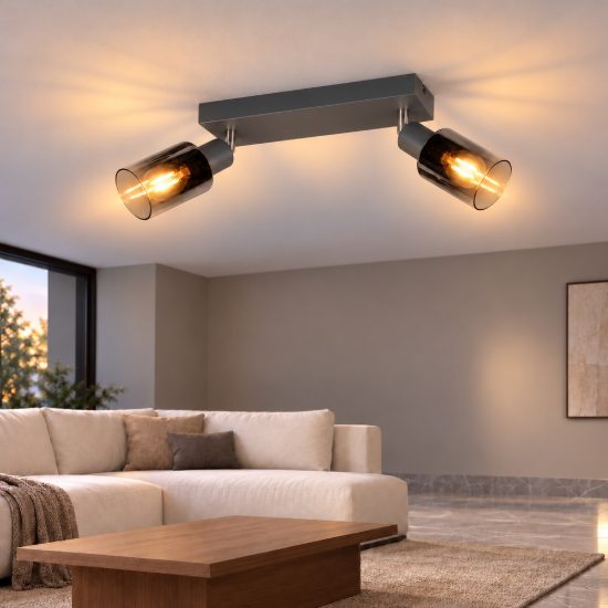 Plafoniera con 2 faretti orientabili moderna antracite con vetri fume
