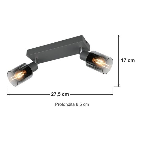 Plafoniera con 2 faretti orientabili moderna antracite con vetri fume