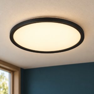 Plafoniera led 18w cct 2700k 6500k con telecomando moderna rotonda nera piatta
