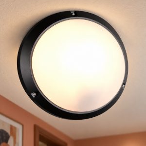 Plafoniera da esterno ip65 ik10 moderna rotonda nera