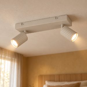 Plafoniera con 2 faretti orientabili moderna grigio caldo con diffusori cilindrici rigati