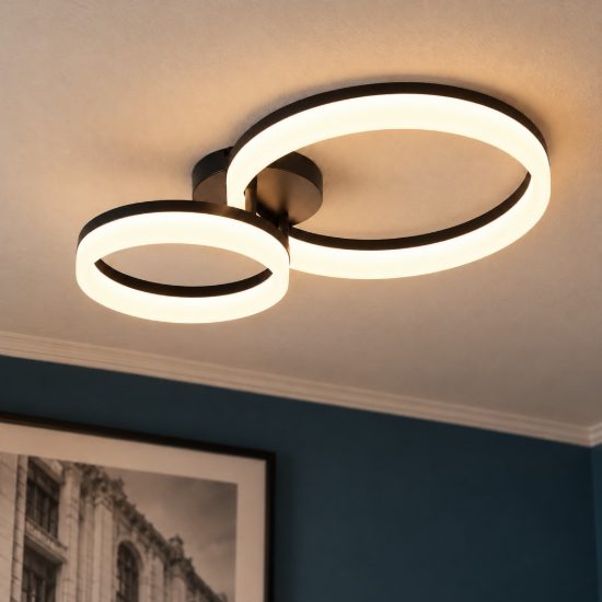 Plafoniera led 22w 3000k per soggiorno moderna nera a 2 anelli