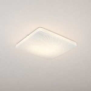 Plafoniera led 24w 4000k per corridoio moderna quadrata bianca con diffusore effetto foglia