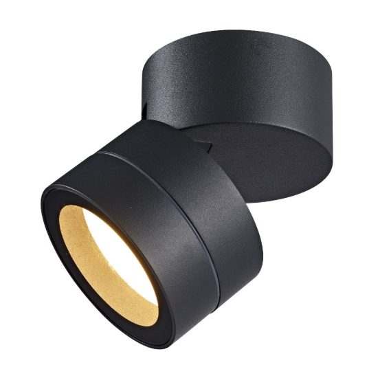 Faretto da esterno soffitto ip65 orientabile antracite