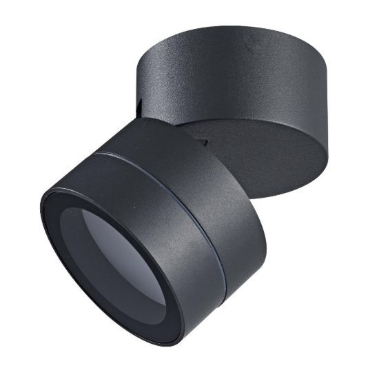 Faretto da esterno soffitto ip65 orientabile antracite
