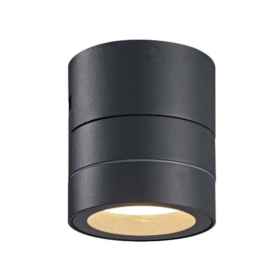 Faretto da esterno soffitto ip65 orientabile antracite