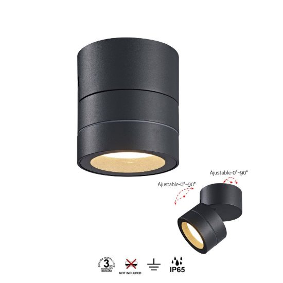 Faretto da esterno soffitto ip65 orientabile antracite