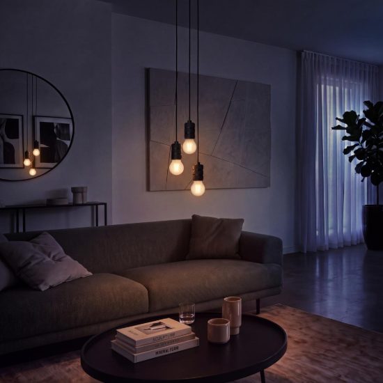 Lampadina e27 led a filamento 4w 2700k a sfera satinata dimmerabile