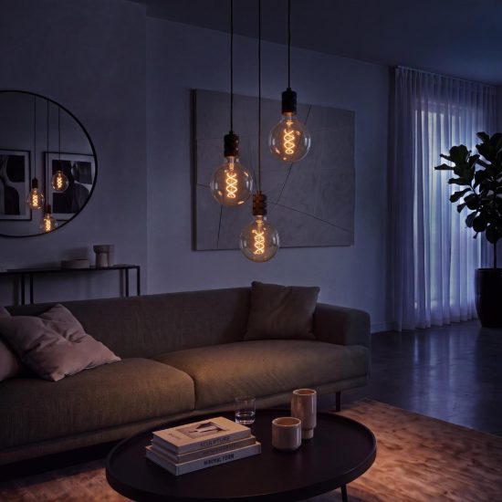 Lampadina e27 led a filamento 4,9w 2700k a globo 9,5cm trasparente dimmerabile