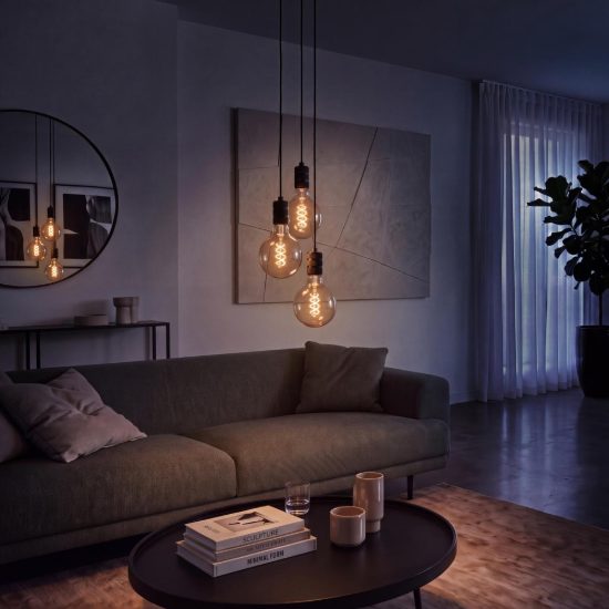 Lampadina e27 led a filamento 4,9w 2700k a globo 12,5cm trasparente dimmerabile