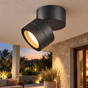 Faretto da esterno soffitto ip65 orientabile antracite
