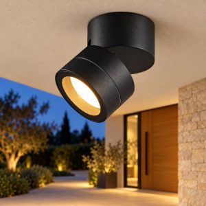 Faretto da soffitto per esterno nero orientabile ip65