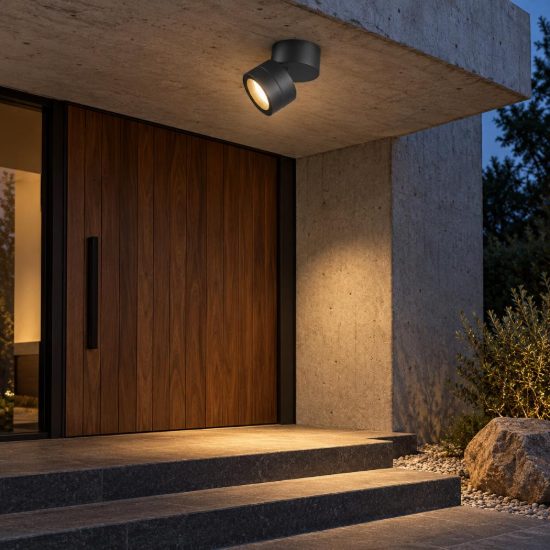 Faretto da esterno soffitto ip65 orientabile antracite