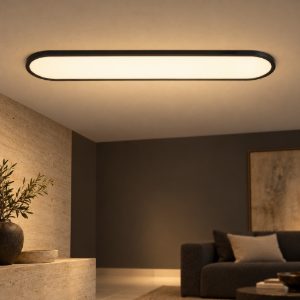 Plafoniera ovale per soggiorno moderna nero led 36w cct 2700k 3300k 4000k con telecomando