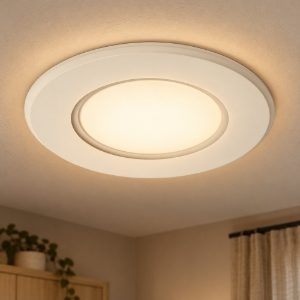 Plafoniera rotonda extrapiatta moderna bianco led 24w 2700k dimmerabile