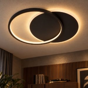 Plafoniera con anello e disco moderna nero led 24w 2700k dimmerabile
