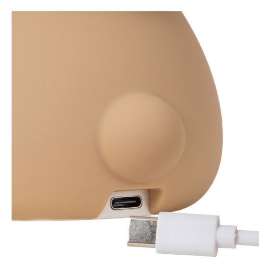 Lampada da comodino per cameretta bambini marrone led 0,5w 2100k ricaricabile a forma di orsetto