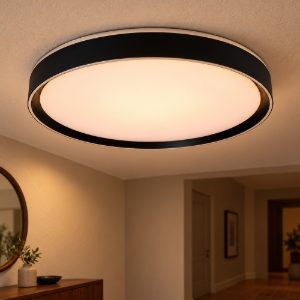 Plafoniera rotonda moderna nero led 18w 2700k dimmerabile