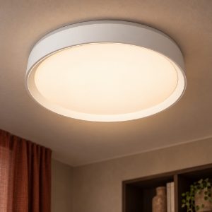 Plafoniera rotonda moderna bianco led 24w 2700k dimmerabile