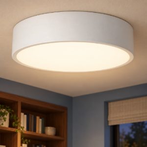 Plafoniera rotonda moderna bianco opalino led 12w 2700k dimmerabile