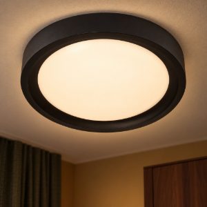 Plafoniera rotonda moderna nero