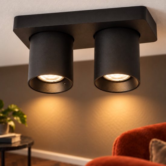 Plafoniera con 2 faretti orientabili moderna rettangolare nero led 10w dim to warm 2200k 3000k