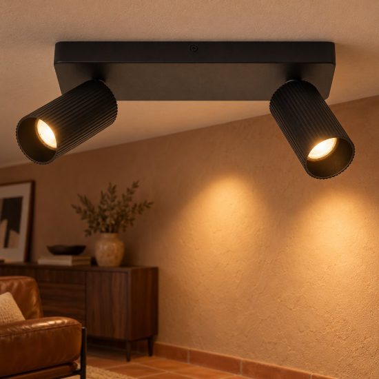 Plafoniera con 2 faretti rigati orientabili moderna nero