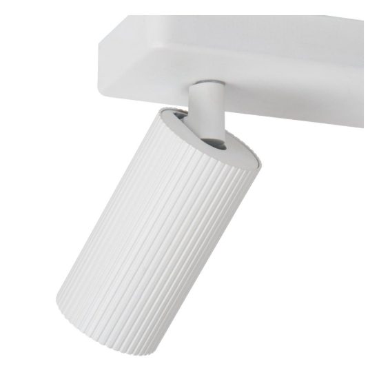 Plafoniera con 2 faretti rigati orientabili moderna bianco