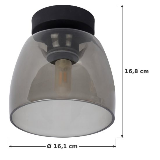 Plafoniera a campana moderna nero fume ip44