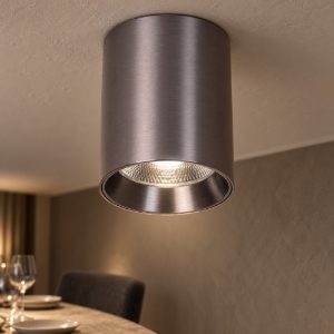 Faretto da soffitto per sala da pranzo moderno canna di fucile led 15w cct 2700k 3300k 4000k